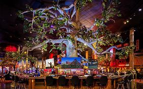 Buffalo Bills Casino
